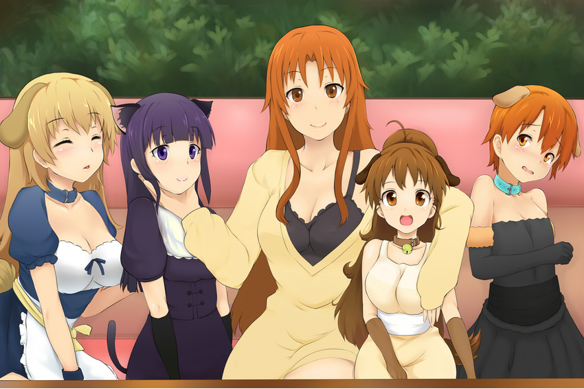 animal_ears blonde_hair blush brown_eyes brown_hair cleavage collar dress inami_mahiru long_hair orange_eyes orange_hair photoshop possible_duplicate purple_eyes purple_hair short_hair tail takanashi_kozue taneshima_popura todoroki_yachiyo working!! yamada_aoi