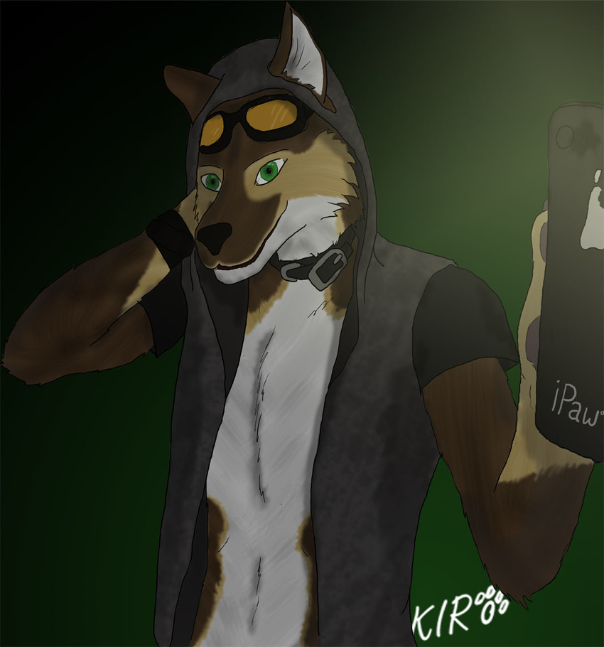 cellphone clothing collar green_eyes kirodark male mammal phone selfie solo telephone wolf
