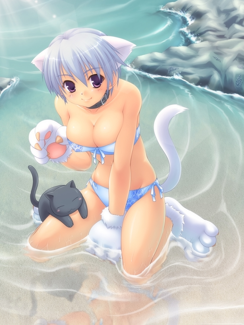 animal_ears bad_id bad_pixiv_id bikini blue_hair cat cat_ears cat_paws cat_tail collar highres kuroneko_sakon original paws red_eyes reflection sand solo submerged swimsuit tail water