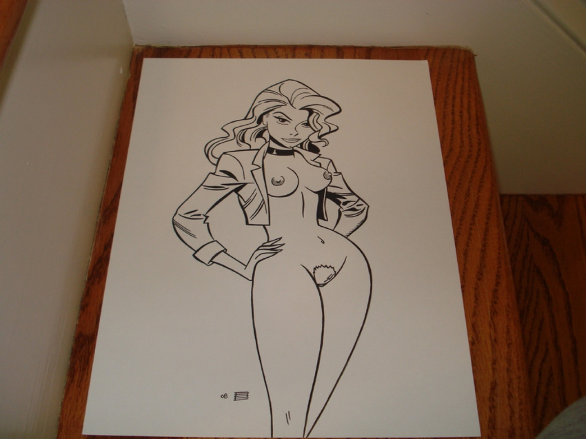 black_canary david_farley dc dcau tagme