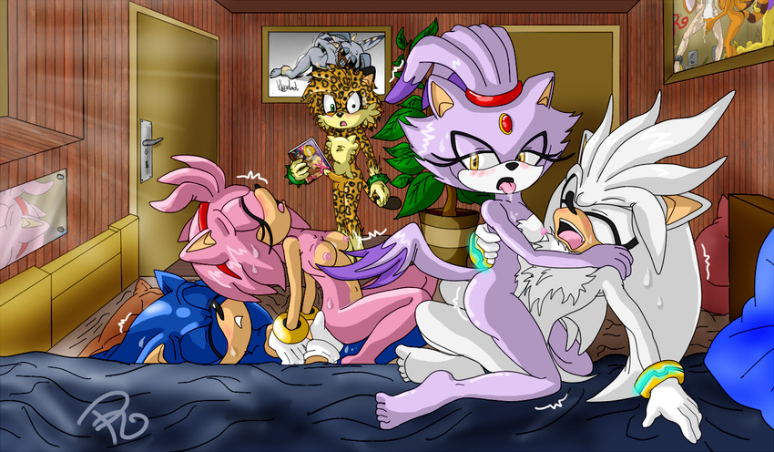 amy_rose blaze_the_cat horlod raianonzika silver_the_hedgehog sonic_team sonic_the_hedgehog