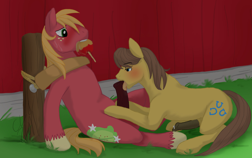 big_macintosh big_macintosh_(mlp) caramel caramel_(mlp) caramel_apple cartoonlion cutie_mark equine feral friendship_is_magic gay horse horsecock licking male mammal my_little_pony oral oral_sex penis pony rope sex tongue