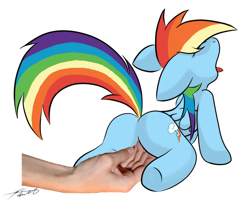 friendship_is_magic my_little_pony rainbow_dash tagme