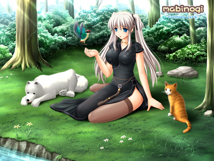 bird blue_eyes breasts cat china_dress chinese_clothes choker dog dress flower forest grass hair_ribbon highres jewelry kafu large_breasts light_rays long_hair mabinogi nao_(mabinogi) nature ribbon river side_slit sitting solo sunbeam sunlight thighhighs tight tree twintails wallpaper white_hair