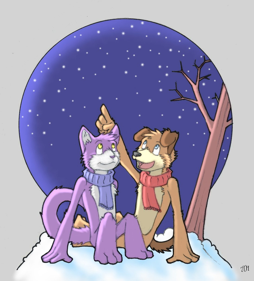 anthro canine cat dog duo feline female flat_chested grape_jelly_(housepets!) housepets! looking_up male mammal peanut_butter_(housepets!) pointing sitting sky smile snow stars tree wood