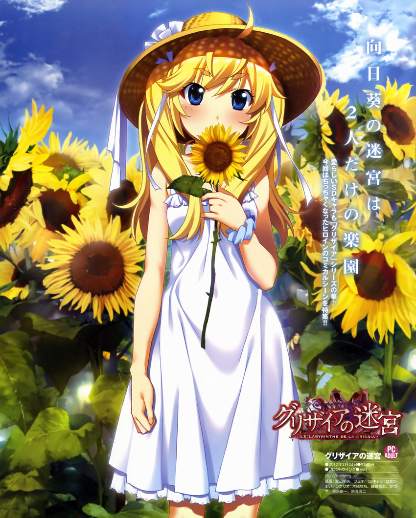 absurdres blonde_hair blue_eyes blush comptiq covering_mouth dress flower french grisaia_(series) grisaia_no_kajitsu grisaia_no_meikyuu hair_ribbon hat highres long_hair matsushima_michiru official_art ribbon scan solo sun_hat sundress sunflower twintails watanabe_akio