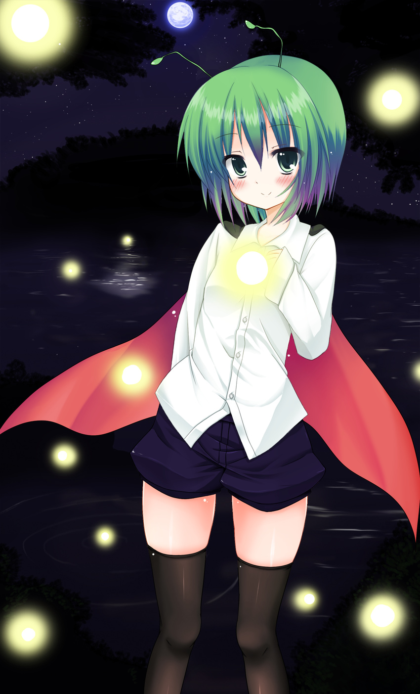 snowcanvas tagme thighhighs touhou wriggle_nightbug