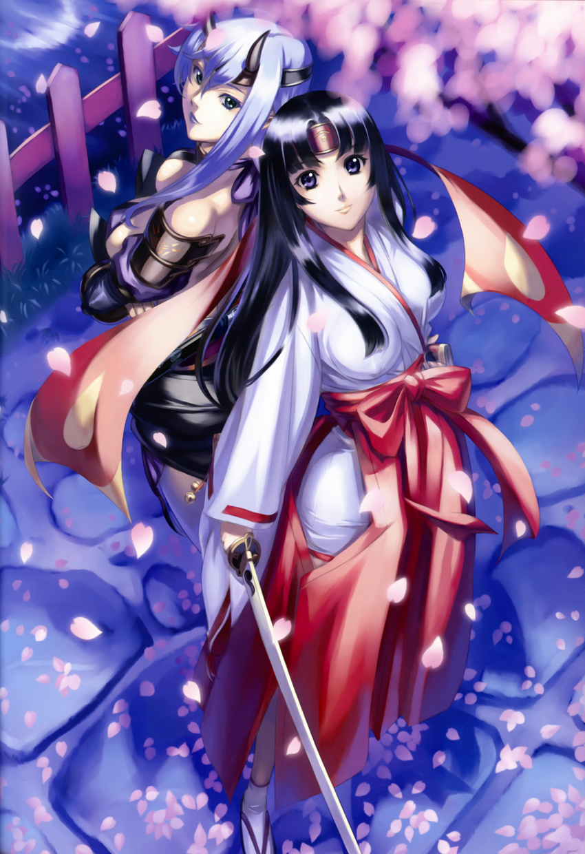 eiwa miko overfiltered queen's_blade scanning_resolution shizuka sword tomoe