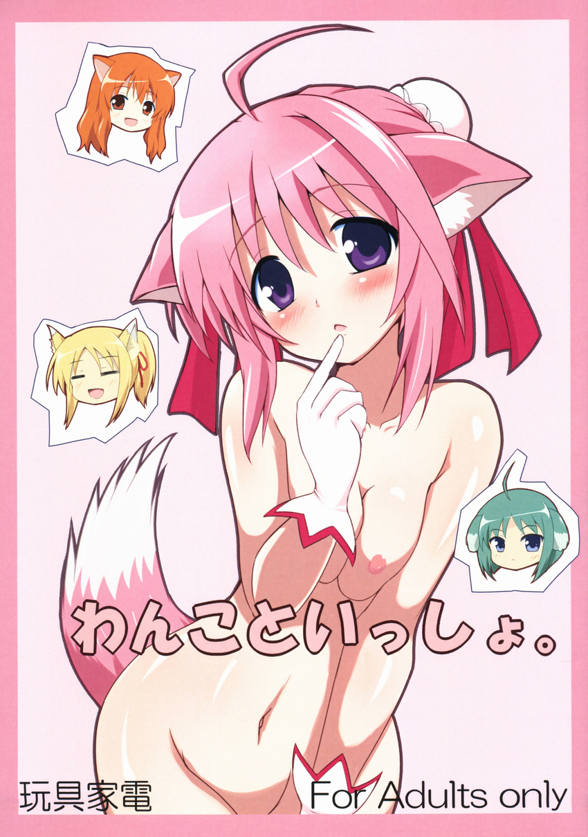 animal_ears beni-bana dog_days eclair_martinozzi millhiore_f_biscotti naked nipples omotya_kaden ricotta_elmar tail yukikaze_panettone