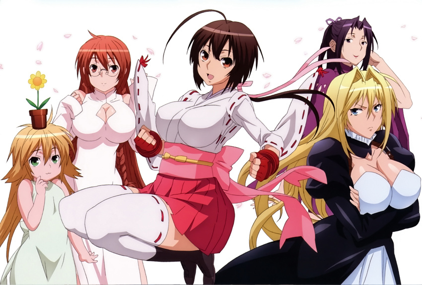 5girls absurdres blonde_hair blue_eyes breasts brown_hair cleavage female highres jpeg_artifacts kazehana kusano large_breasts long_hair looking_at_viewer matsu matsu_(sekirei) multiple_girls musubi official_art open_mouth overfiltered plant quintet red_hair screening sekirei simple_background smile thighhighs tomooka_shinpei tsukiumi white_background