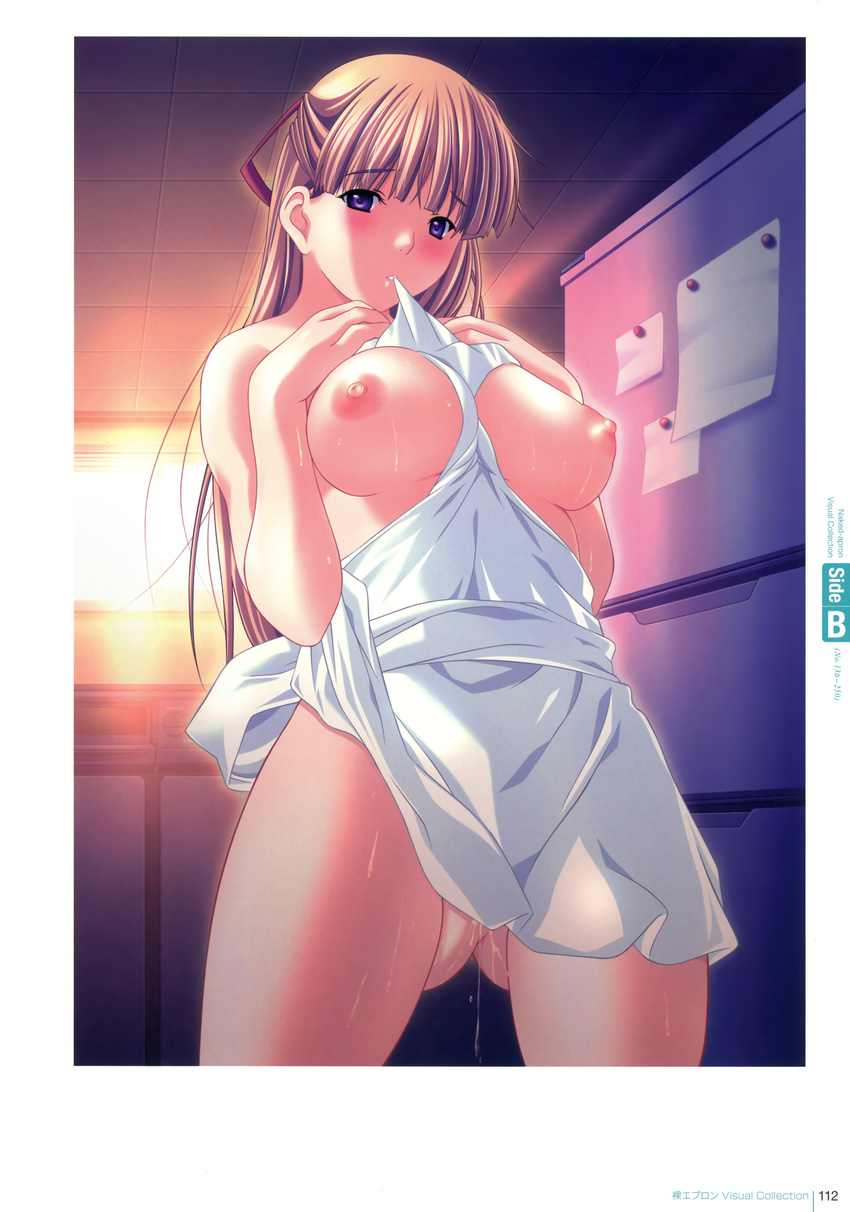 atelier_kaguya breasts kanzaki_asuka m&amp;m medorei naked_apron nipples pussy_juice wet
