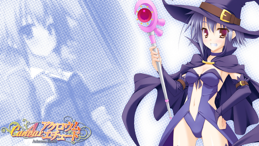 canvas_4 cleavage f&amp;c leotard minase_(dragon_panda) shinonome_anzu wallpaper witch