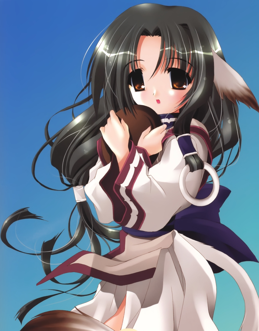 animal_ears eruruu ohno_tetsuya tail utawarerumono