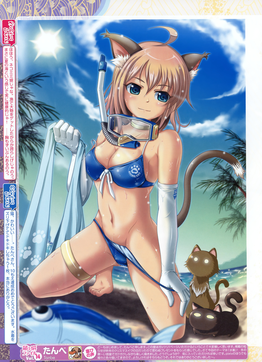 absurdres animal_ears barefoot beach bikini blue_eyes blurry breasts brown_hair cat cat_ears cleavage copyright_request day depth_of_field diving_mask elbow_gloves fish fisheye front-tie_top gloves highres medium_breasts navel sideboob smile snorkel solo swimsuit swimsuit_pull tail tanbe towel wet