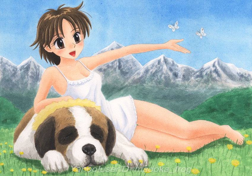 :d acrylic_paint_(medium) alps_no_shoujo_heidi animal bad_id bad_pixiv_id bare_legs barefoot brown_eyes brown_hair bug butterfly collarbone dog dress flower heidi insect lying madoka_akira mountain nature on_side open_mouth outstretched_arm short_dress short_hair skirt smile solo teenage traditional_media watermark white_skirt world_masterpiece_theater