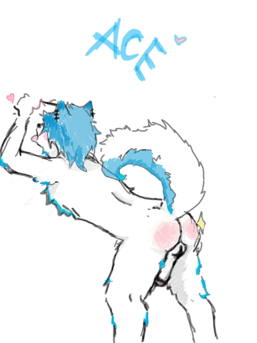 absurd_res ace_(forgottenhusky) anthro back_view balls bdsm bent_over bipedal blue blue_ears blue_hair blue_markings blush butt canine clasped_hands countershade_tail digital_drawing_(art) digital_painting_(art) dog forgottenhusky_(artist) full-length_portrait fur gay hair hands_above_head hi_res husky male mammal markings pain_stars penis plain_background reddened_butt side_view sketch solo spanking standing three-quarter_view tongue tongue_out uncut white_background white_fur white_penis