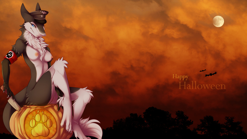armband blue_eyes breasts chest_tuft claws ears_back edit elbow_gloves female fur gloves halloween hat hi_res holidays knife looking_at_viewer nipples not_nazi paws pumpkin pussy sergal solo spazzykoneko tuft u-18chan valkyria wallpaper