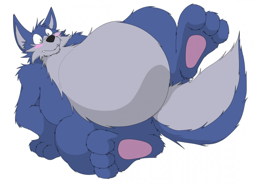 belly blue blue_fur blush canine chubby cute embarrassed fur hindpaw komagin mammal overweight paws solo wolf