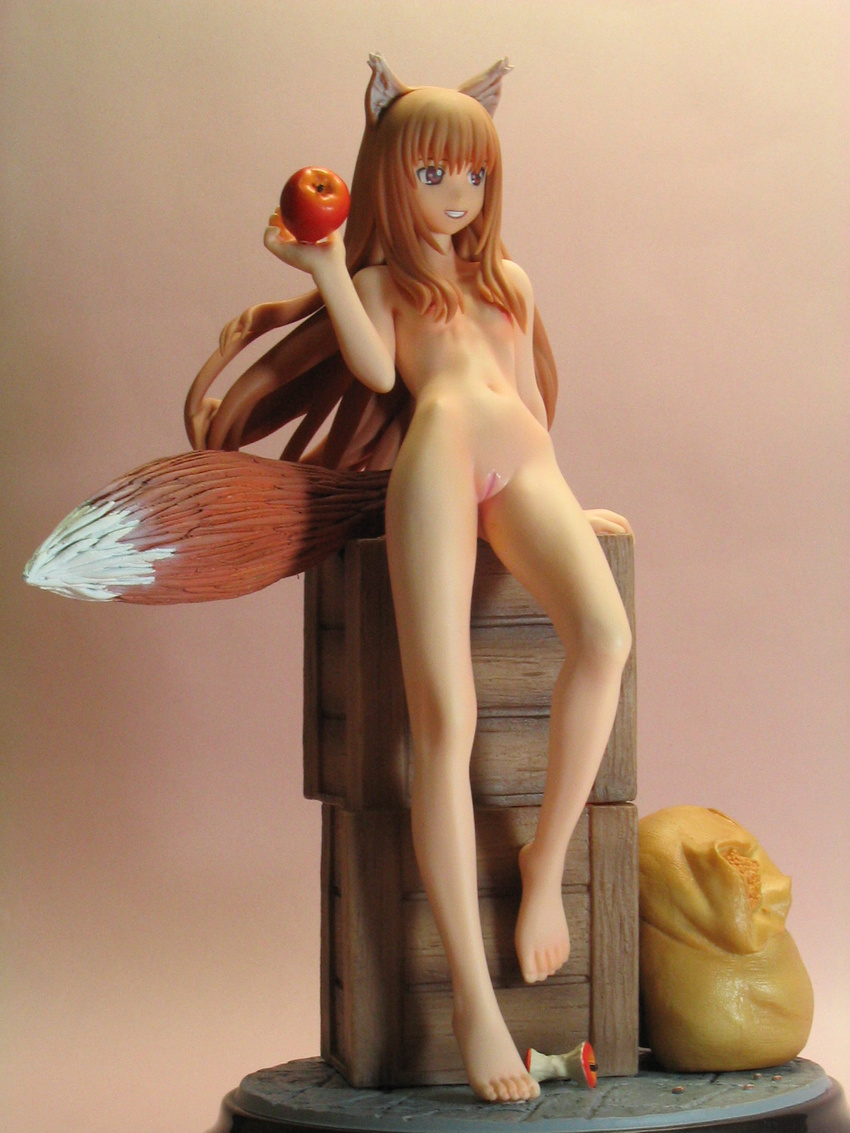 animal_ears apple bag bangs box brown_eyes cleft_of_venus cm's_corporation core corn figure flat_chest food fruit full_body gutto_kuru holo horo long_hair navel nude photo pussy red_hair skinny smile spice_and_wolf tail wolf_ears wolf_tail