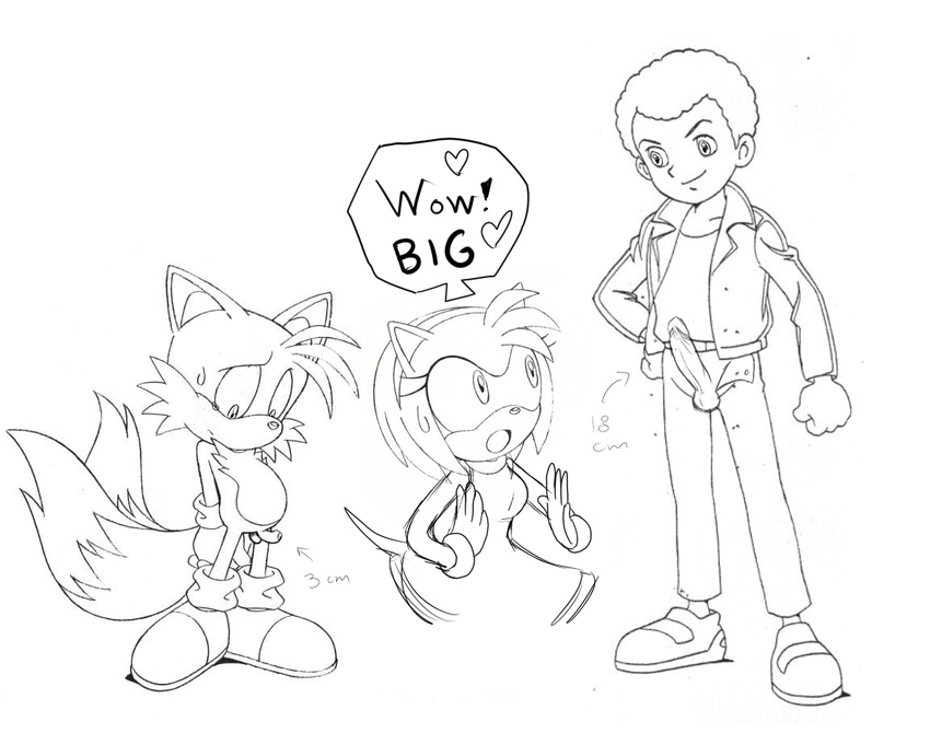 amy_rose danny sonic_team sonic_x tails