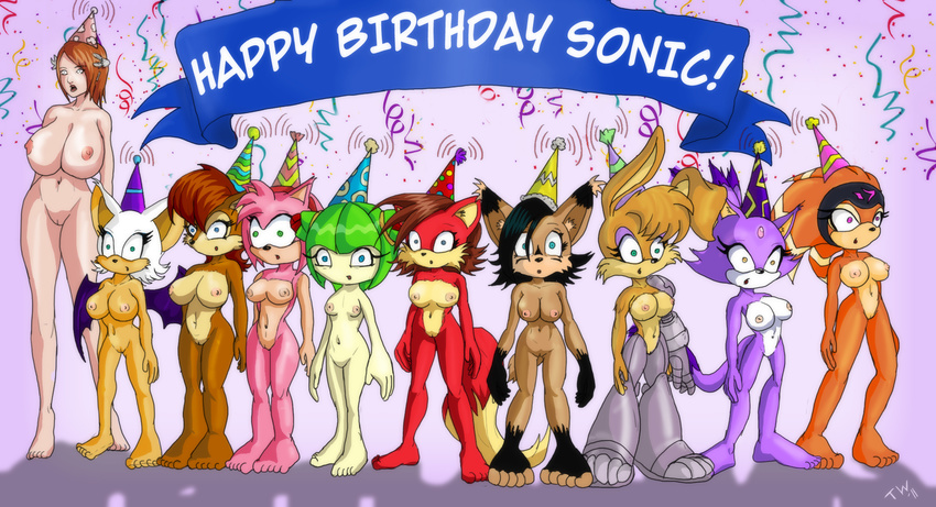 amy_rose blaze_the_cat bunnie_rabbot cosmo_the_seedrian fiona_fox nicole_the_lynx princess_elise rouge_the_bat sally_acorn shade_the_echidna sonic_team trishbot