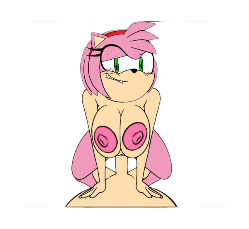 amy_rose anthro breasts_in_front_of_face cowgirl_position female first_person_view from_front_position looking_at_viewer male male/female on_bottom on_top red_cheeks sega sex smile smiling_at_viewer solo sonic_the_hedgehog_(series)