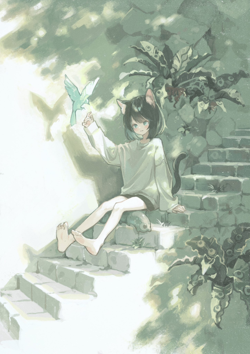 1other :3 androgynous animal animal_ear_fluff animal_ears arm_at_side arm_support arm_up bare_legs barefoot bird black_hair black_shorts black_tail cat_ears cat_tail closed_mouth commentary_request creature day green_eyes highres light_blush light_smile long_sleeves loose_clothes loose_shirt medium_hair on_stairs original outdoors plant popepopo999 shadow shirt short_shorts shorts sitting sitting_on_stairs sleeves_past_wrists solo stairs stone_stairs tail white_shirt