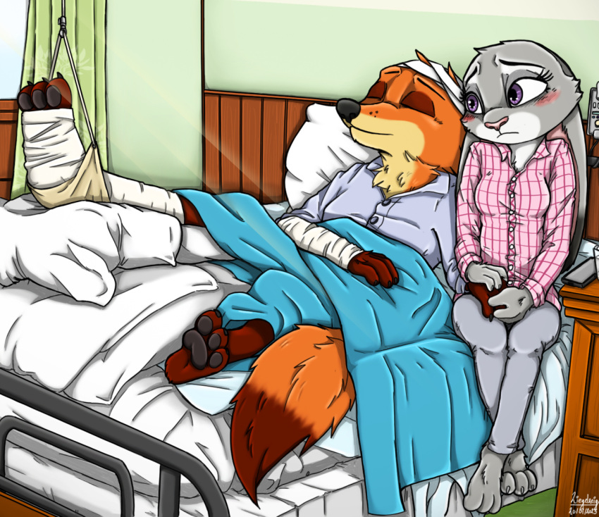 anthro bed blush brown_body brown_fur canid canine disney duo female fox fur furniture grey_body grey_fur hand_holding hospital hospital_bed judy_hopps lagomorph leporid male mammal nick_wilde orange_body orange_fur purple_eyes rabbit wounded ziegelzeig zootopia