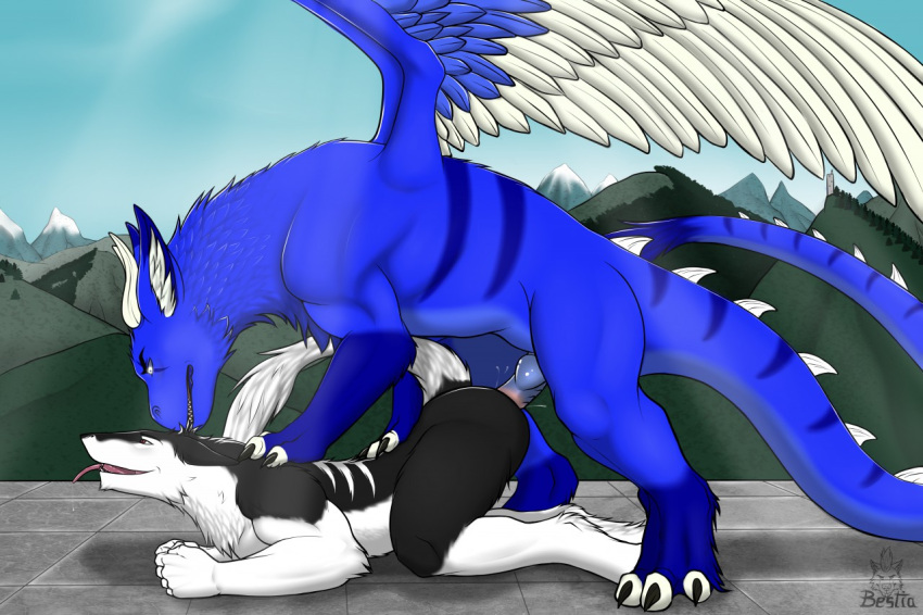 anal anal_penetration anthro anthro_on_feral anthro_penetrated ass_up bestiality big_dom_small_sub butt claws dominant dragon duo elbestia feathered_wings feathers feral feral_penetrating feral_penetrating_anthro fur furred_dragon male male/male male_penetrated male_penetrating male_penetrating_male mountain multicolored_body multicolored_fur paws penetration raised_tail reptile_tail sergal sex size_difference tail tongue tongue_out wings
