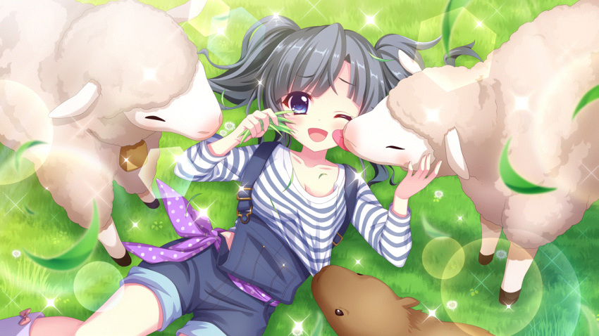 1girl bell black_hair blue_eyes blue_overalls blue_stripes breasts capybara cleavage closed_eyes clothes_pull collarbone cowbell dot_nose film_grain from_above game_cg grass hand_on_another's_face holding_grass itsumura_yukari izumi_tsubasu lens_flare licking licking_another's_face lying medium_breasts non-circular_lens_flare non-web_source official_art on_back one_eye_closed open_mouth outdoors overalls polka_dot polka_dot_scarf purple_scarf re:stage! scarf sheep shirt shirt_pull short_hair smile solo sparkle striped striped_shirt twintails white_shirt
