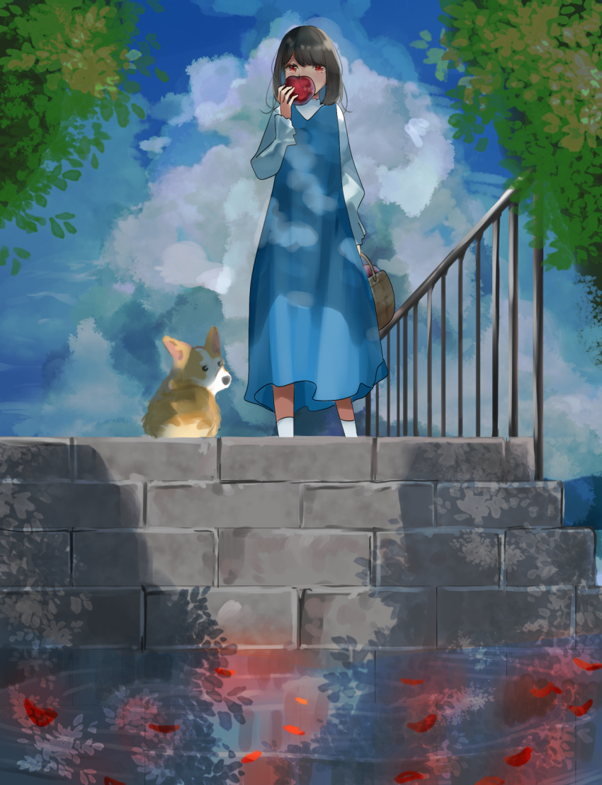 1girl apple bag blue_dress brown_hair cloud cumulonimbus_cloud dappled_sunlight day dog dress food from_below fruit hand_up handbag highres holding holding_food holding_fruit long_dress long_sleeves looking_at_viewer original outdoors petals petals_on_liquid puddle railing red_eyes shiba_inu shirt short_hair sky stairs standing stone_stairs sunlight tree ueruko welsh_corgi white_shirt