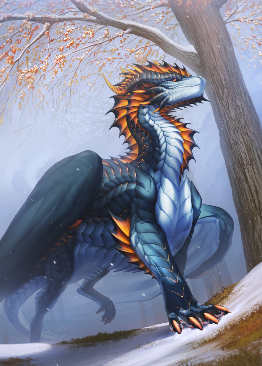 black_membrane black_sclera blue_body blue_scales cheek_spikes claws dorsal_frill dragon facial_spikes feral frill_(anatomy) grass hi_res horn male membrane_(anatomy) multicolored_membrane orange_claws orange_horn orange_membrane plant rodagor scales scalie snow solo spikes spikes_(anatomy) tree western_dragon wia