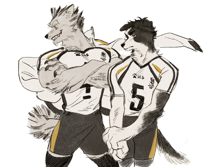 2boys akaashi_keiji animal_ears black_fur black_hair black_shorts body_fur bokuto_koutarou chengongzi123 claws commentary cowboy_shot crossed_arms dog_boy dog_ears dog_tail furrification furry furry_male grey_fur grey_hair grin haikyuu!! high_collar highres jacket jacket_on_shoulders looking_to_the_side male_focus multicolored_hair multiple_boys own_hands_together sharp_teeth shirt short_hair short_sleeves shorts simple_background smile sportswear standing streaked_hair symbol-only_commentary t-shirt tail teeth thick_eyebrows toned toned_male very_short_hair volleyball_uniform white_background white_jacket white_shirt wolf_boy wolf_ears wolf_tail yellow_eyes