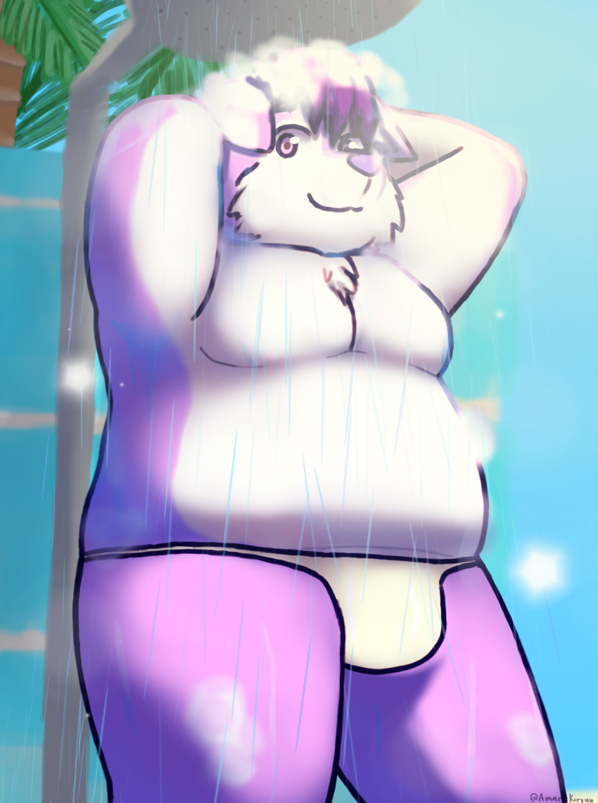 amanekiryuu anthro bathing beach belly bulge canid canine canis chest_tuft chihiro_(calahootheyeen) clothing dripping_wet floppy_ears fur hair hands_behind_head hi_res male mammal overweight overweight_anthro overweight_male palm_tree plant purple_body purple_fur purple_hair shower showering solo swimwear thong tree tuft underwear wet white_body white_fur wolf