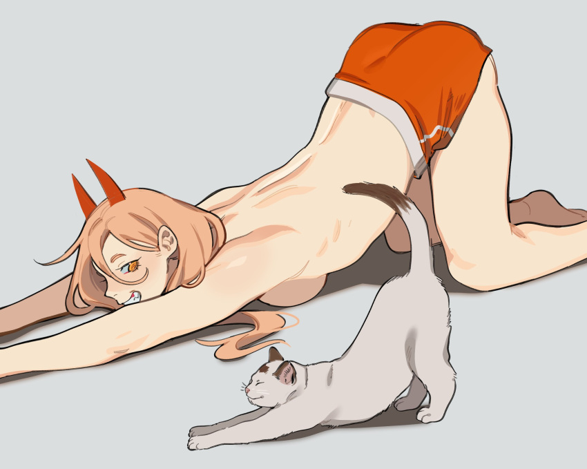 1girl all_fours bare_legs breast_press cat cat_stretch chainsaw_man grin gym_shorts highres horns meowy_(chainsaw_man) orange_eyes orange_hair porqueloin power_(chainsaw_man) red_horns red_shorts shorts sideways_glance smile solo stretching top-down_bottom-up topless white_cat