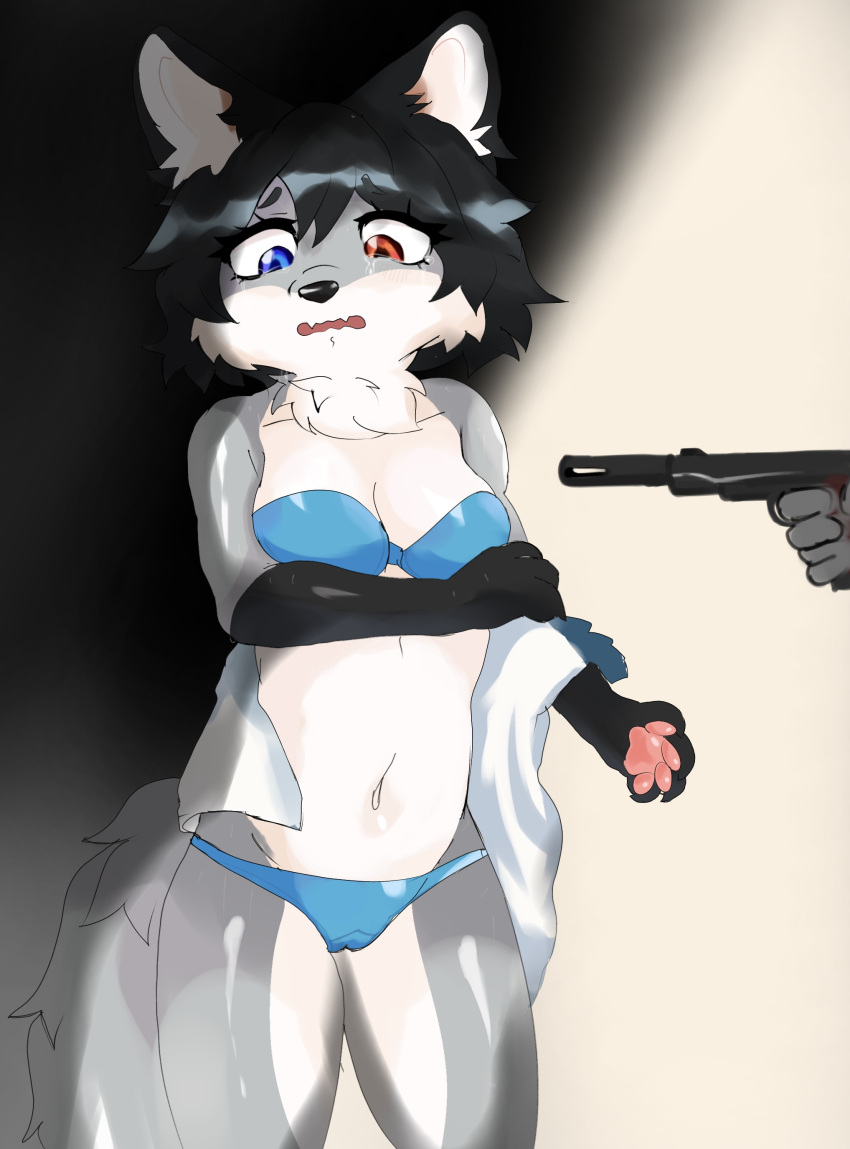 absurd_res anthro bikini blue_bikini blue_clothing blue_eyes blue_swimwear blush bodily_fluids breasts camel_toe canid canine canis clothing crying embarrassed execution female fluffy fluffy_tail forced forced_exposure forced_undressing gun gunpoint hair handgun heterochromatic_eyes hi_res holding_gun holding_object holding_ranged_weapon holding_weapon imminent_death josephine_(lolcat00) kidnapping light lolcat00 looking_at_viewer mammal navel orange_eyes pawpads peril pistol ranged_weapon scared short_hair silencer small_breasts solo submissive submissive_female swimwear tail tears undressing weapon welling_tears wet wet_clothing wolf