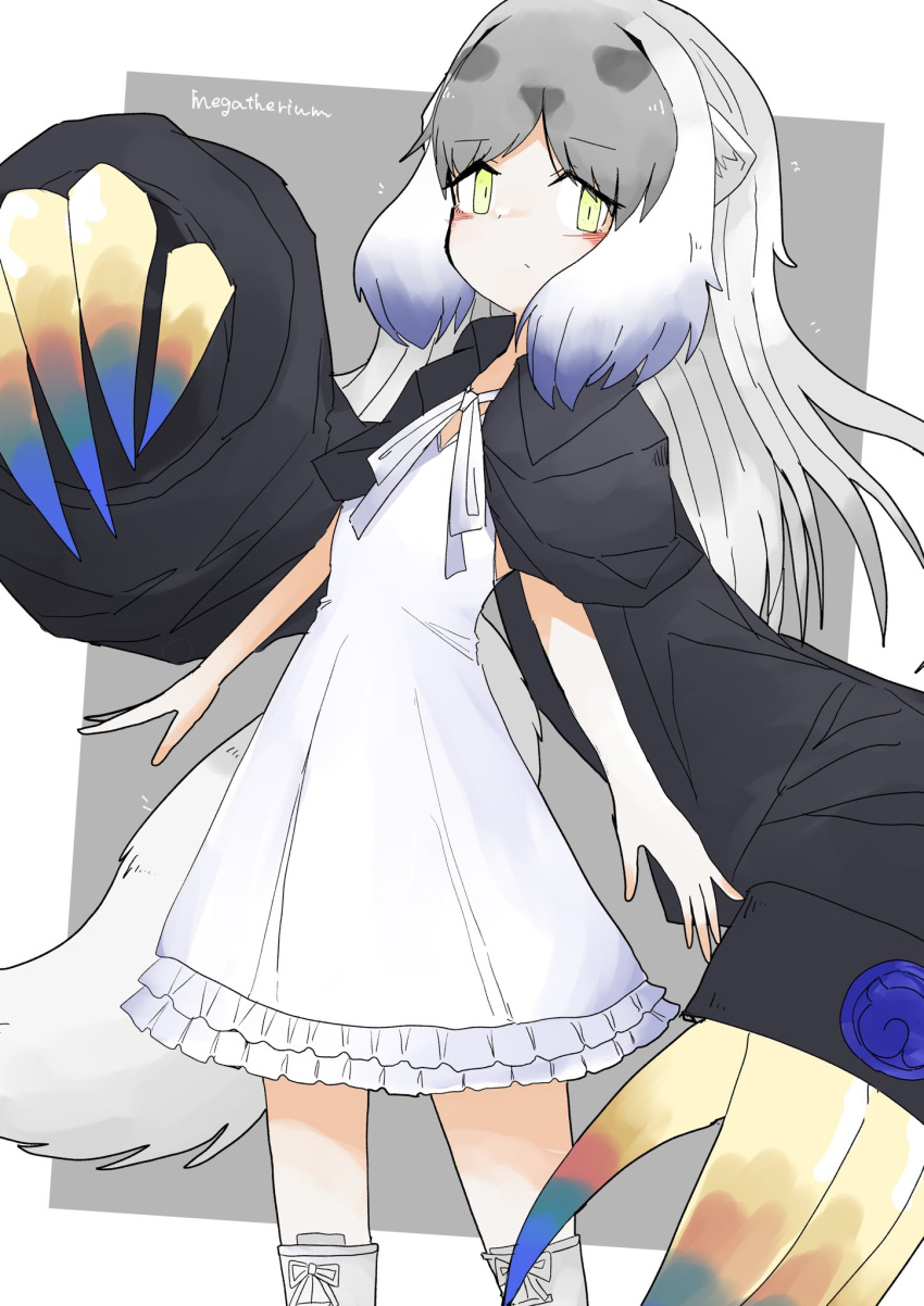 1girl bird black_jacket blue_hair boots claws closed_mouth crow dress grey_background grey_hair highres jacket japari_symbol kemono_friends long_hair looking_at_viewer megatherium_(kemono_friends) multicolored_hair simple_background solo tail vulpesgentiana white_dress yellow_eyes