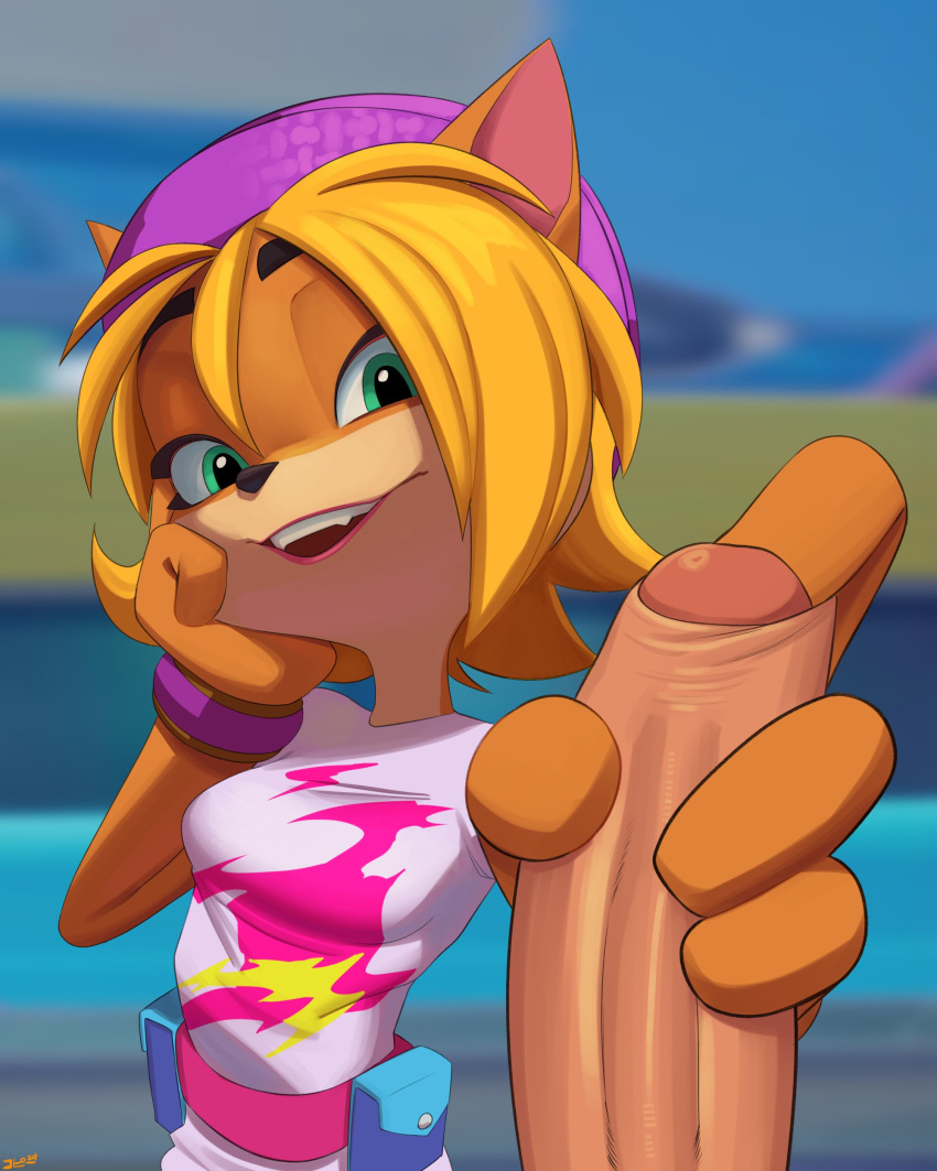 absurd_res activision anthro bandicoot blonde_hair bracelet breasts brown_body brown_fur clothed clothing coco_bandicoot crash_bandicoot_(series) day duo erection eyelashes faceless_character faceless_male female female_focus fingers foreskin fur genitals green_eyes hair half-closed_eyes hat headgear headwear hi_res human humanoid_genitalia humanoid_penis jewelry male male/female mammal marsupial multicolored_body multicolored_fur narrowed_eyes outside penis penis_grab shirt solo_focus t-shirt tan_body tan_fur teeth thehumancopier topwear two_tone_body two_tone_fur