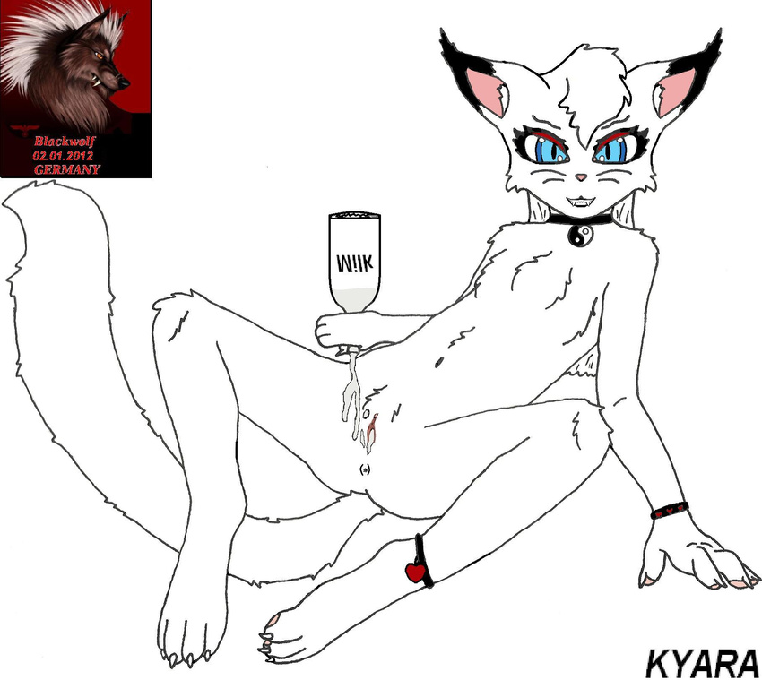 blackwolf cat claws fangs feline female hair mammal milk paws pink_ears pouring_milk pussy smile solo teeth white_cat white_hair