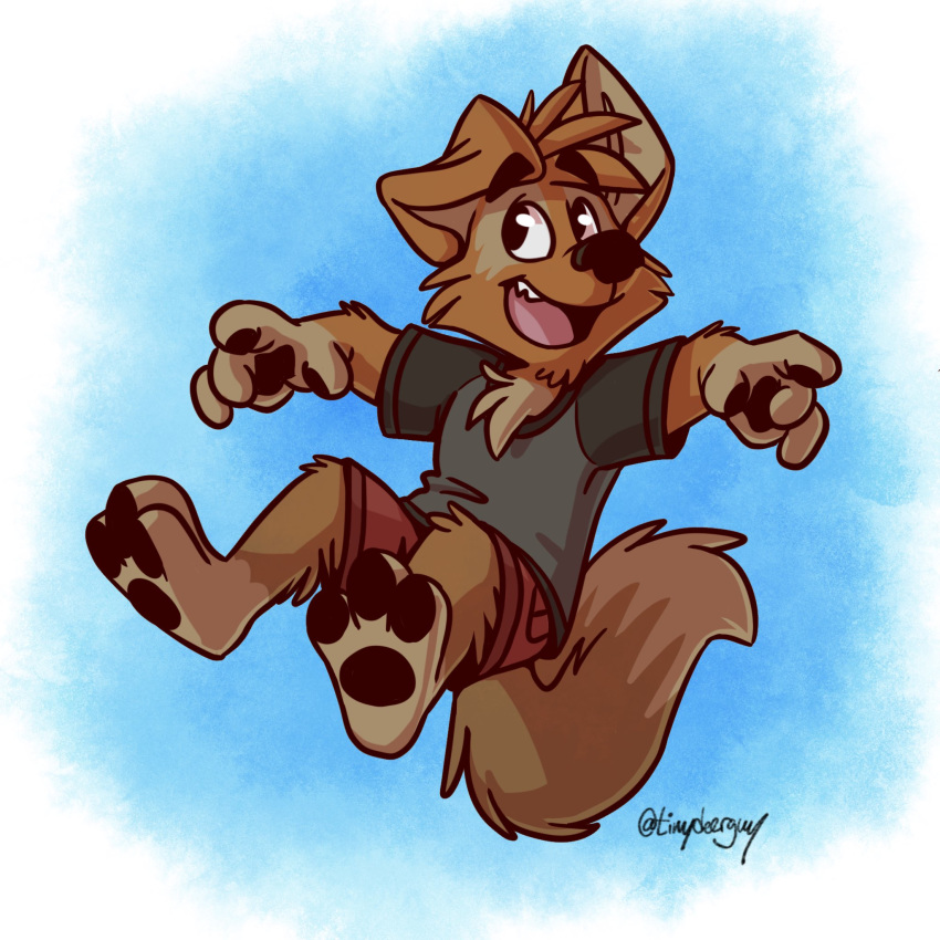 barefoot canid canine canis clothing domestic_dog floating male mammal matt_riskely open_mouth shirt shorts smile solo t-shirt tinydeerguy