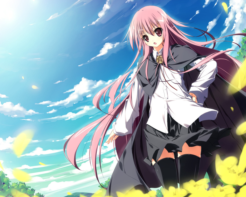 flowers hirokazu_kine louise_fran&ccedil;oise_le_blanc_de_la_valli&egrave;re pink_hair thighhighs zero_no_tsukaima