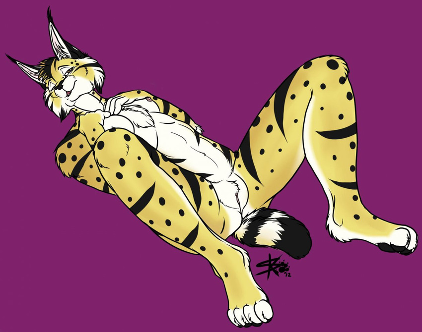 breasts feline female lying lynx mammal nude on_back pussy sketchkat sketchkat_(character) solo spread_legs spreading