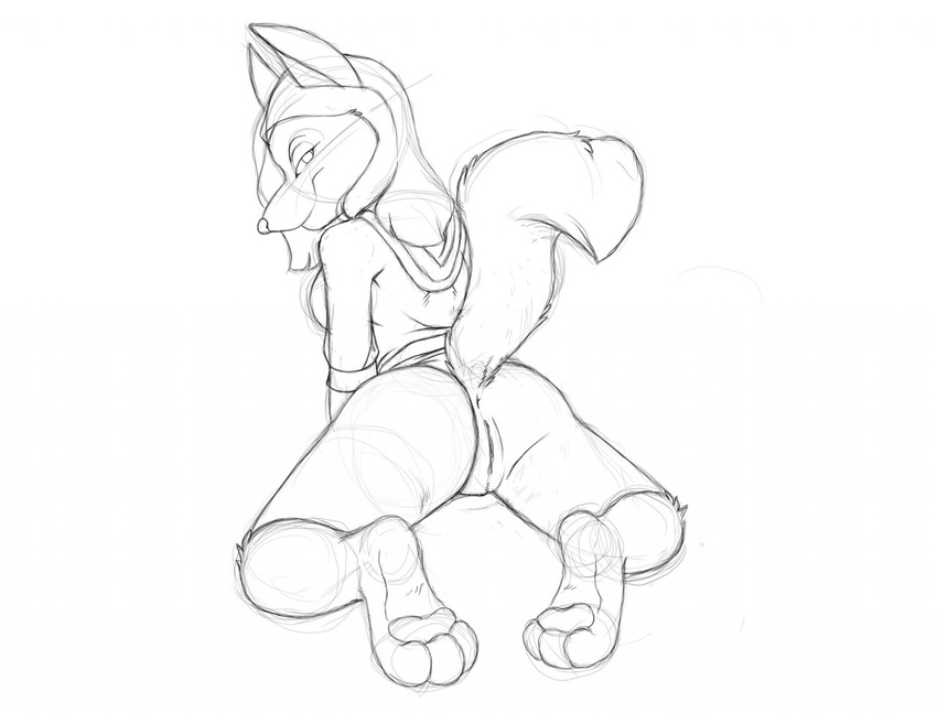 anthro anus back_turned bottomless butt canine clothed clothing female half-dressed jackal joshua_frinkle looking_at_viewer looking_back mammal os presenting presenting_hindquarters pussy raised_tail sketch solo tail