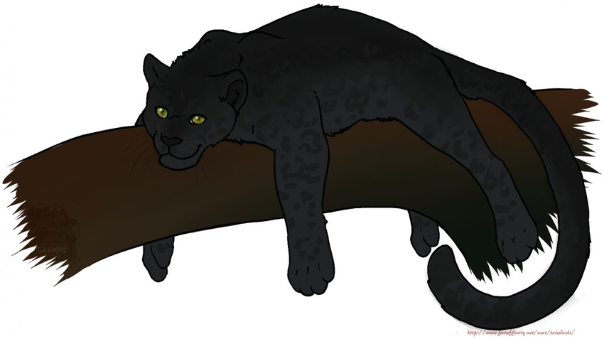 eyes feline feral leopard mammal panther plain_background solo spotz tail toradoshi tree whiskers white_background wood