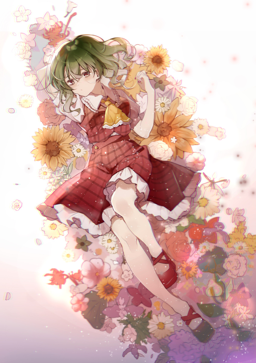 1girl absurdres arm_behind_head arm_up ascot bloom collared_shirt commentary_request daisy_(flower) dutch_angle floral_background flower flower_button flower_request frilled_shirt frilled_shirt_collar frilled_skirt frills full_body green_hair hand_up highres iwakoo kazami_yuuka knee_up long_hair looking_at_viewer lying medium_skirt on_back petals pink_flower plaid_clothes plaid_skirt plaid_vest puffy_short_sleeves puffy_sleeves purple_flower red_eyes red_flower red_nails red_rose red_shoes red_skirt red_vest rose shirt shirt_tucked_in shoes short_sleeves skirt skirt_set solo sunflower too_many_flowers touhou vest wavy_hair white_background white_flower white_shirt yellow_ascot yellow_flower