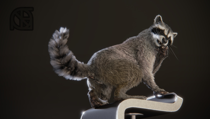 3d_(artwork) animal_genitalia anthro anus black_nose butt chair cosmiclife digital_media_(artwork) feet female feral fur hi_res mammal mustelid_pussy open_mouth pawpads paws pinup pose procyonid pussy raccoon raised_tail realistic semi-anthro solo stool sue_andy teeth whiskers