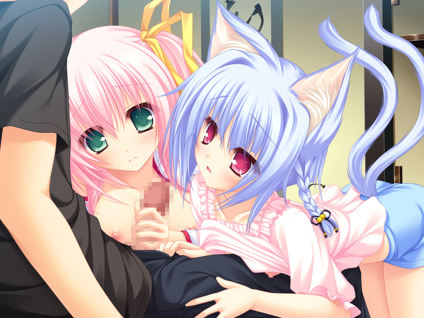 animal_ears blue_hair breasts catgirl censored game_cg green_eyes kiryuu_hina mikagami_mamizu neko_koi nipples penis pink_eyes pink_hair tail toono_sayaka whirlpool