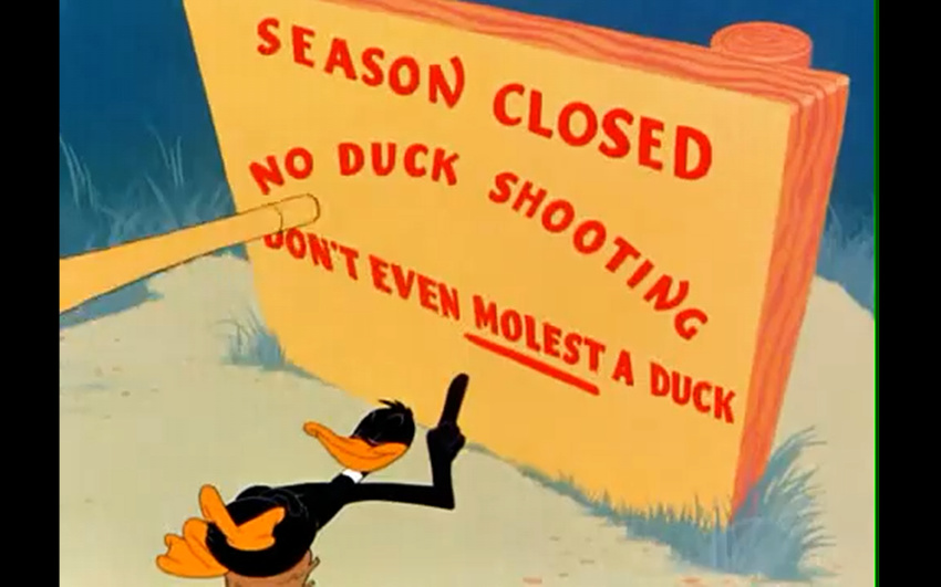 colors daffy_duck duck_season grass ground looney_tunes nest not_sure_if_there_is_much_more_to_say_as_i_don't_think_there_are_any_more_tags_needed porky_pig sign sitting stick warner_brothers words