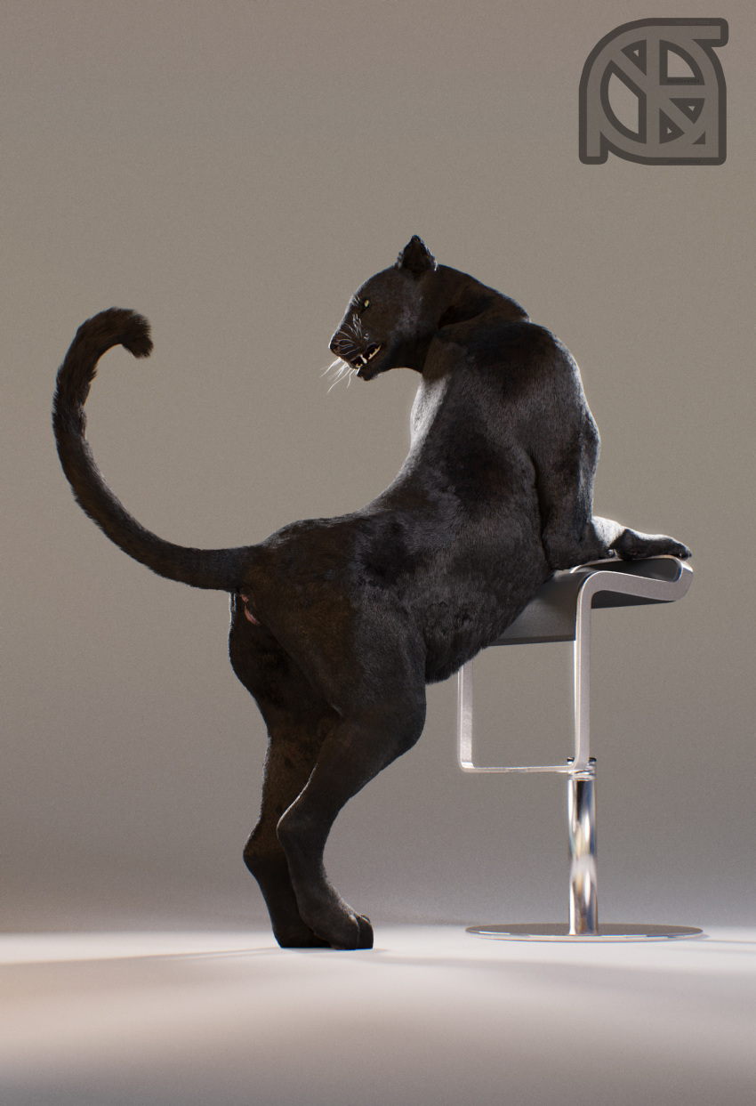 3d_(artwork) animal_genitalia anthro anus black_fur butt chair cosmiclife digital_media_(artwork) feline female feral fur hi_res mammal pantherine pinup pose pussy raised_tail realistic semi-anthro solo stool valencia whiskers