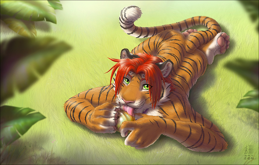 butt collar feline grass green_eyes hair hindpaw joshua licking male mammal nude paws solo tail tiger tongue zen